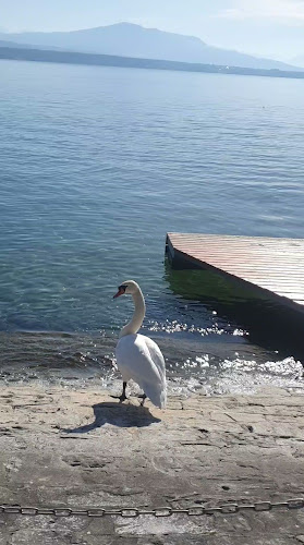 La Brasserie du Rive - Gastronomie und Hotellerie