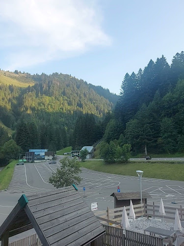 Opinii despre La Pierre à Catillon în Moléson-sur-Gruyères - Gastronomie und Hotellerie