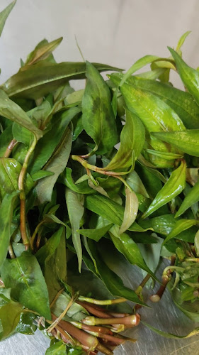 Opinii despre PLAN B Lausanne în Lausanne - Gastronomie und Hotellerie