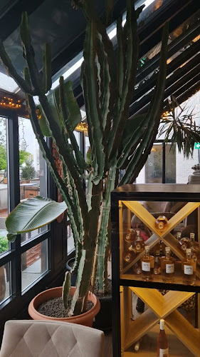 Opinii despre The Place 2B BIKINI BEACH în Lausanne - Gastronomie und Hotellerie