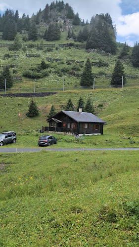 Col de Bretaye, 1884 Ollon