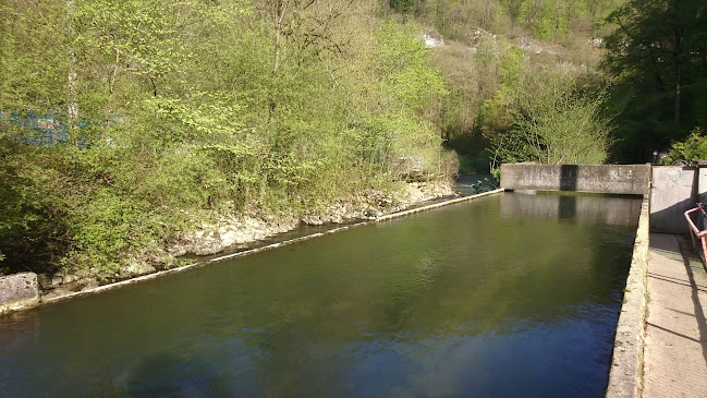 Auberge - Restaurant Des Gorges - Biel