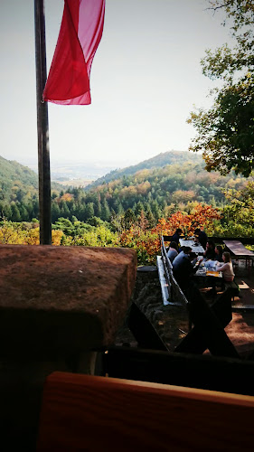 Casa Alegria - Gastronomie und Hotellerie