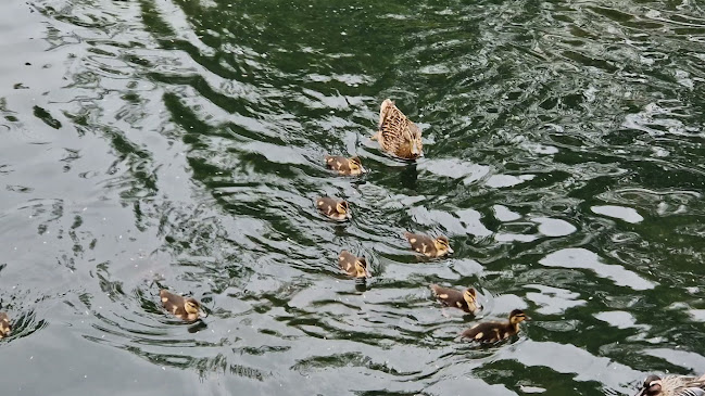 Café-Restaurant Park - St. Gallen