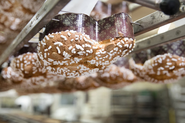 Comentarii opinii despre GANT