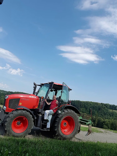 Opinii despre Green Mango în Zürich - Gastronomie und Hotellerie