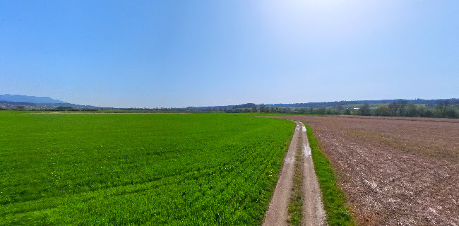 Restaurant Fischerstube Altreu - Gastronomie und Hotellerie