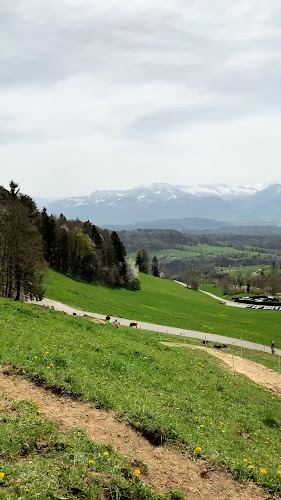 Bachtel-Ranch - Gastronomie und Hotellerie
