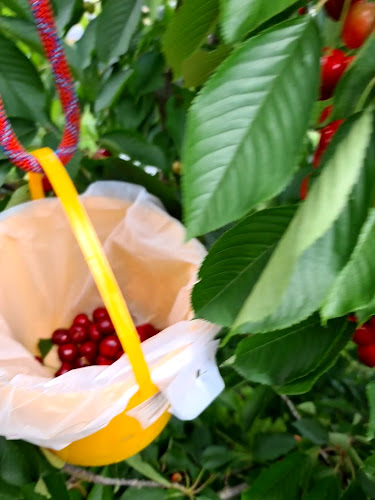 Bäckerei-Confiserie Richner AG