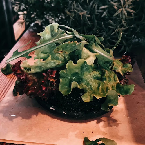 Opinii despre Seepintli în Sutz-Lattrigen - Gastronomie und Hotellerie