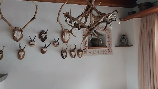 Opinii despre Wirtschaft Stelzenhof AG în Weinfelden - Gastronomie und Hotellerie