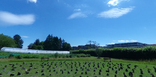 Restaurant Le Jardin - Gastronomie und Hotellerie