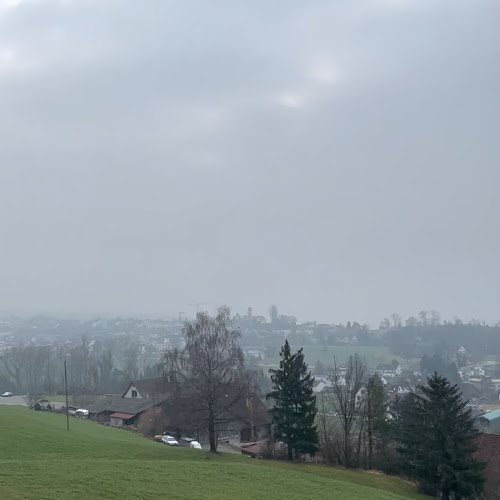 Opinii despre Heiri Bolleter Weinbau GmbH în Meilen - Gastronomie und Hotellerie