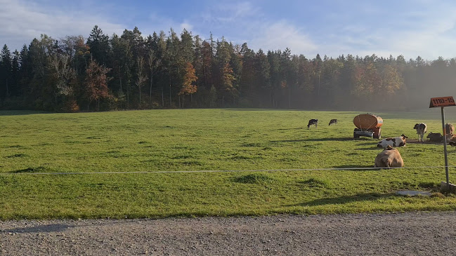 Opinii despre Geeren în Gockhausen - Gastronomie und Hotellerie