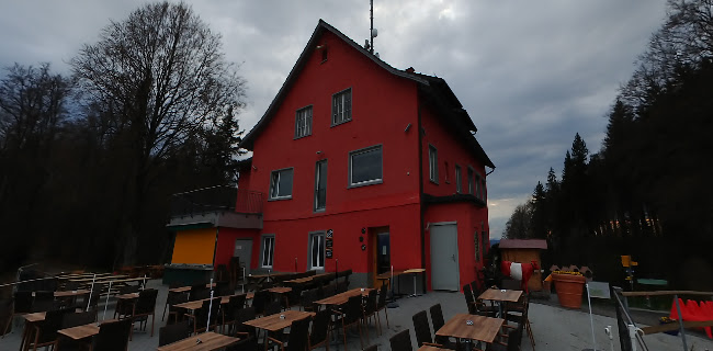 Opinii despre Restaurant Felsenegg în Stallikon - Gastronomie und Hotellerie