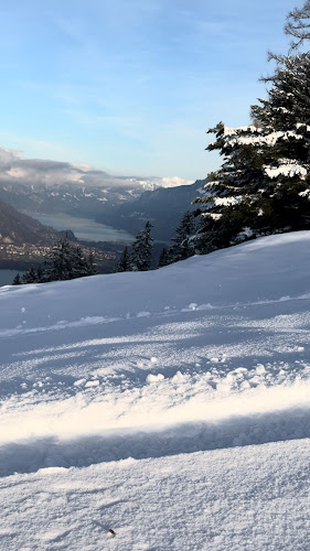 Aeschiallmend, 3703 Aeschiried