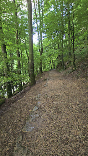 Taubenlochweg 4, 2504 Biel