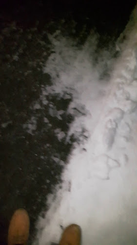 Opinii despre Gasthaus Alpenrose în Altstätten - Gastronomie und Hotellerie