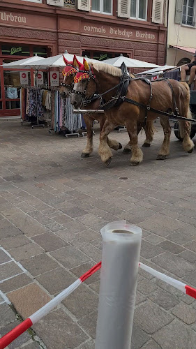 Habanito - Die Lounge für Geniesser