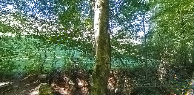 Restaurant Caffe Douro Uetendorf - Gastronomie und Hotellerie