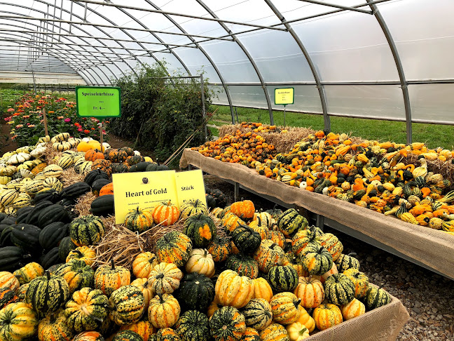 GnussBär - Thun - Thun