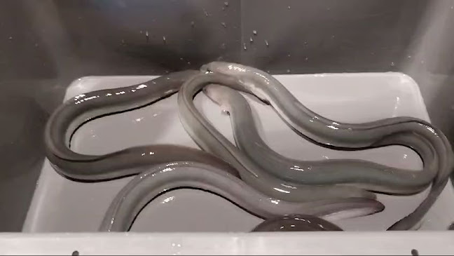 Comentarii opinii despre Aal- & Forellenräucherei Hoffmann GmbH