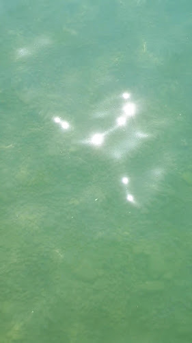 Badi Seeburg Küssnacht