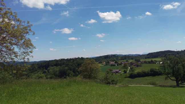 Comentarii opinii despre Restaurant Rütihof, Gränichen