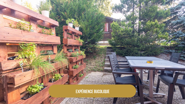 Opinii despre l'Ecureuil în La Chaux-de-Fonds - Gastronomie und Hotellerie