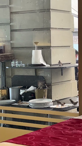 Gerechtigkeitsgasse 12, 3011 Bern