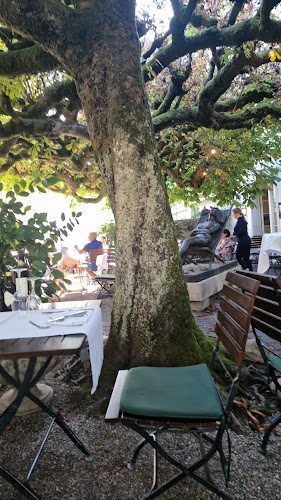 Opinii despre Cantinetta Bindella Solothurn în Solothurn - Gastronomie und Hotellerie