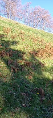 Opinii despre Alpwirtschaft Tierhag în Steg im Tösstal - Gastronomie und Hotellerie