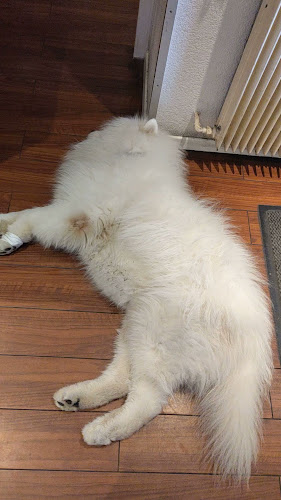 Comentarii opinii despre Café Restaurant Treff