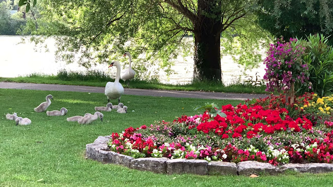 Schwanbar - Gastronomie und Hotellerie