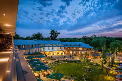 Dorint Thermenhotel Freiburg