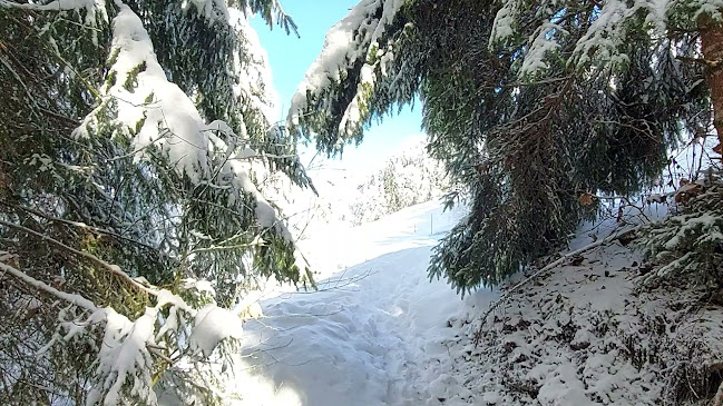 Restaurant Les Bains