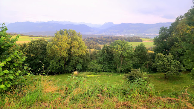 Restaurant Buurestube - Wald