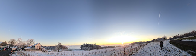 Wirtschaft Stelzenhof AG - Gastronomie und Hotellerie