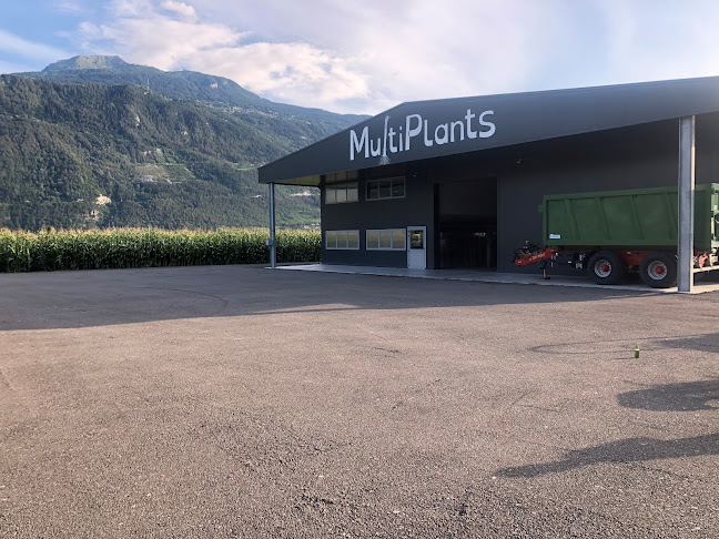 Opinii despre Multiplants Sàrl în Vétroz - Gastronomie und Hotellerie
