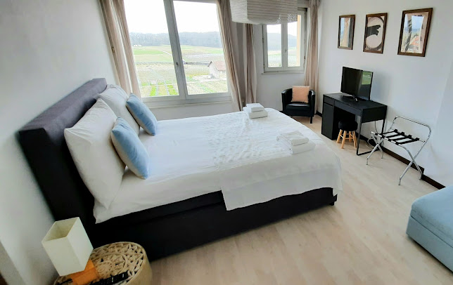 Rue du Château 11, 1266 Duillier