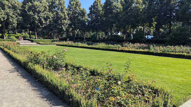 Comentarii opinii despre Restaurant Rosengarten