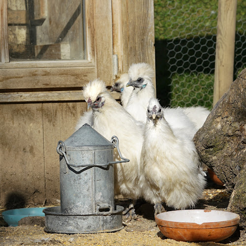 Hoschet 10, 8756 Mitlödi