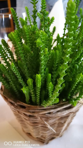 Dorfstrasse 21, 9223 Halden