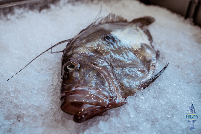 Ristorante Pescheria Belvga - Lugano