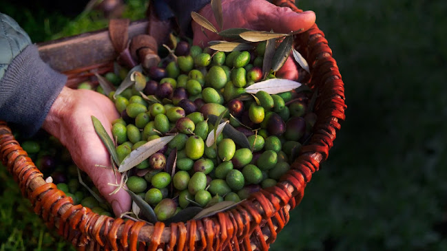 Nicoletti Manufaktur - Bülach