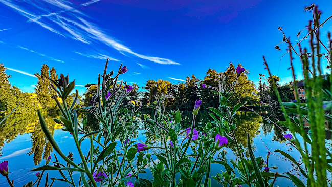 Restaurant Weiher Theres Glarner - Arbon