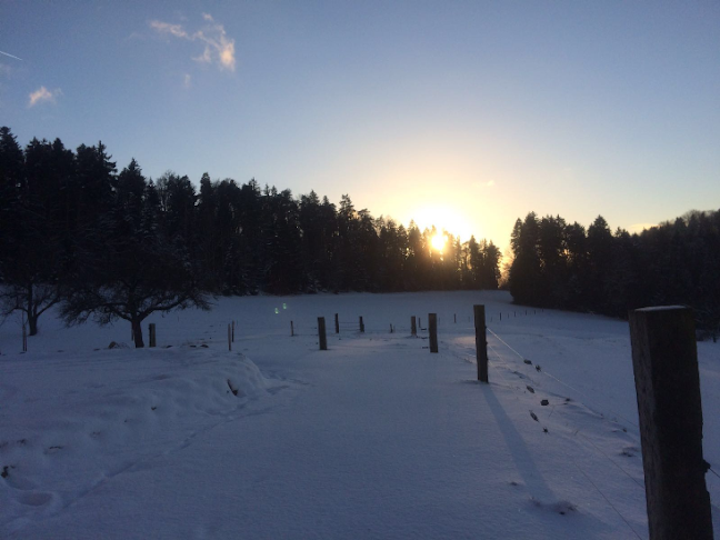 Comentarii opinii despre Restaurant Pierreberg