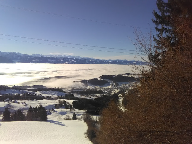 Opinii despre Helbling Robert, Marktfahrer în Freienbach - Gastronomie und Hotellerie