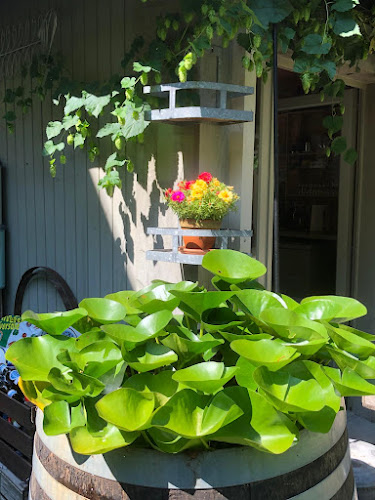 Comentarii opinii despre Buvette Rive-Gauche et appartement de vacances à Champ-du-Moulin