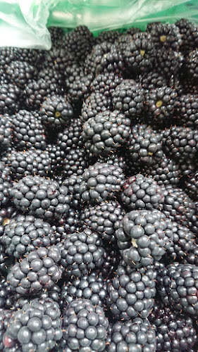 Comentarii opinii despre Amore Mio